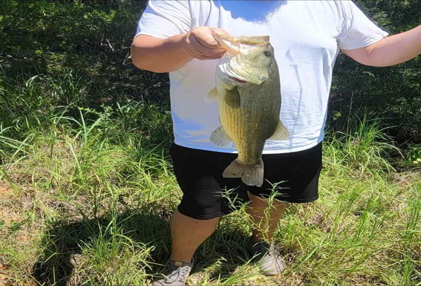 4 Bedrooms Bedrooms, 0 ,2 BathroomsBathrooms,Residential,Single Family,750,1,133232