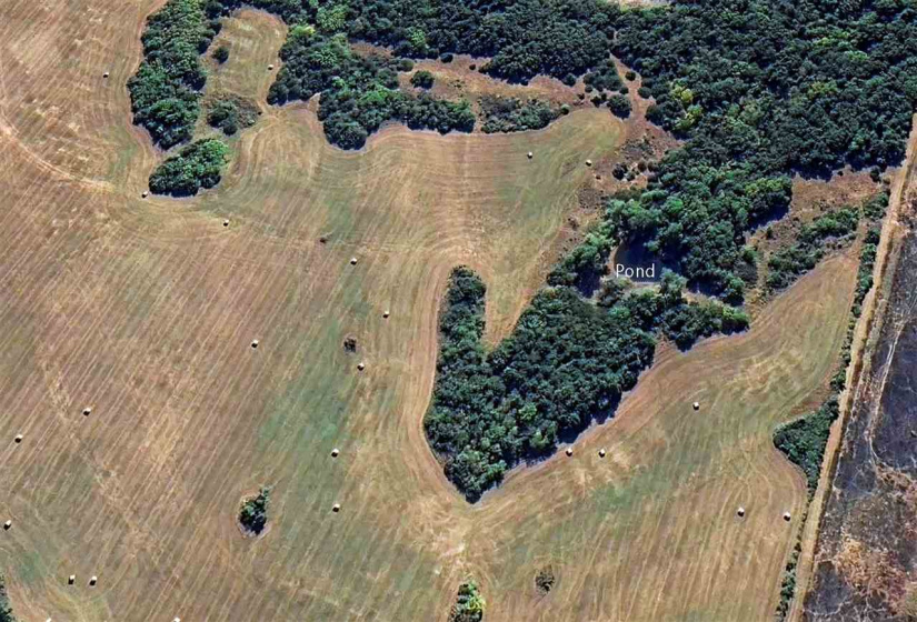 0 , 0 ,0,Lots/land,Unplatted,35300,0,133238