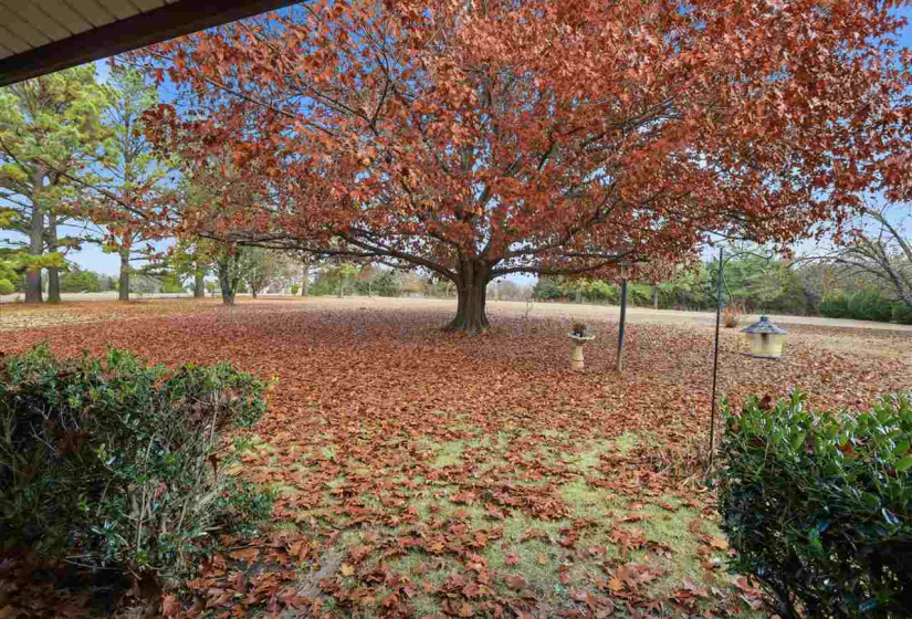 3 Bedrooms Bedrooms, 0 ,2 BathroomsBathrooms,Residential,Single Family,Green Acres,1,133265