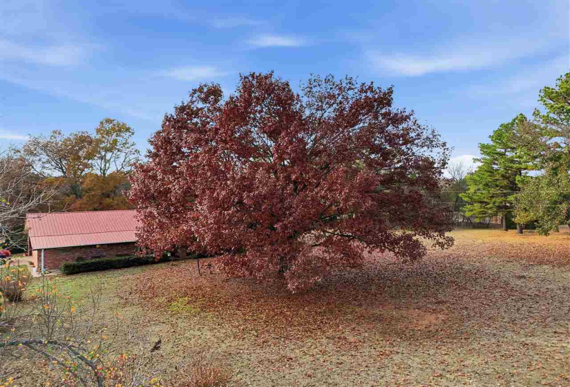 3 Bedrooms Bedrooms, 0 ,2 BathroomsBathrooms,Residential,Single Family,Green Acres,1,133265