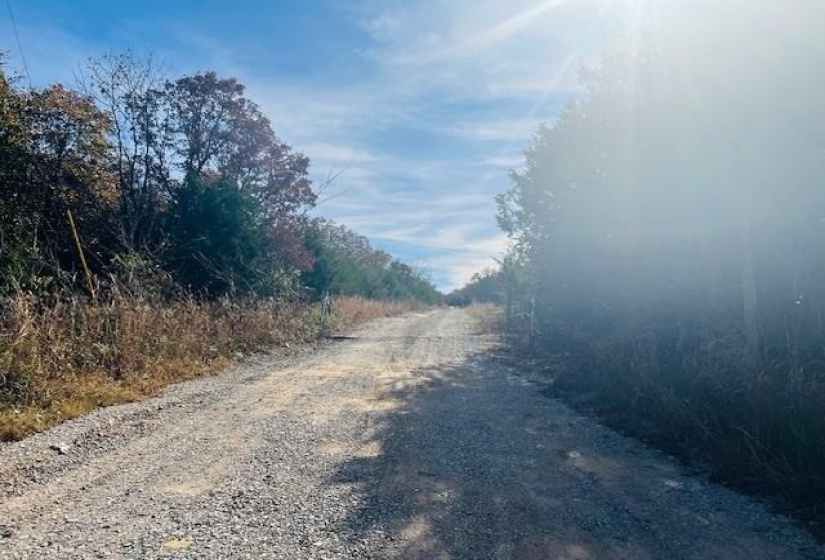 0 , 0 ,0,Lots/land,Unplatted,61st,0,133276