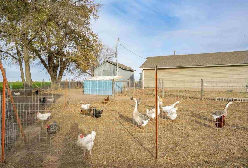 2 Bedrooms Bedrooms, 0 ,2 BathroomsBathrooms,Residential,Single Family,Old John Deere,1,133323