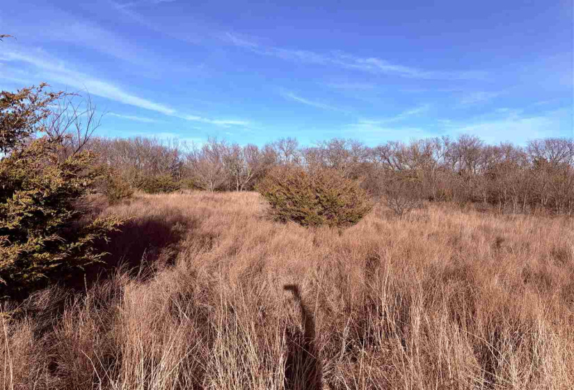 4 Bedrooms Bedrooms, 0 ,2 BathroomsBathrooms,Residential,Single Family,Rose,1,133467