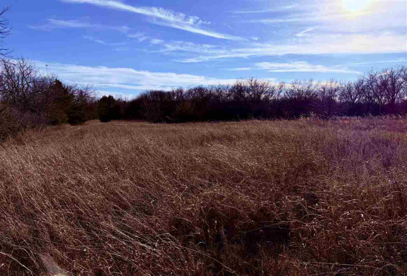 4 Bedrooms Bedrooms, 0 ,2 BathroomsBathrooms,Residential,Single Family,Rose,1,133467