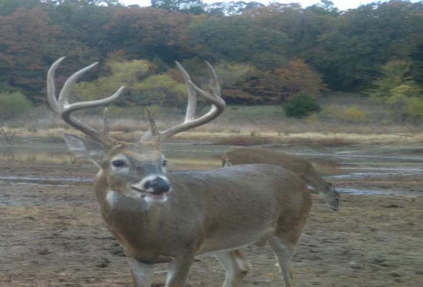 0 , 0 ,0,Lots/land,Unplatted,19th st,0,133507