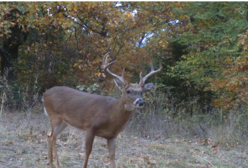 0 , 0 ,0,Lots/land,Unplatted,19th st,0,133507