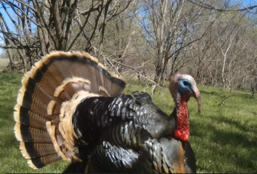 0 , 0 ,0,Lots/land,Unplatted,19th st,0,133507