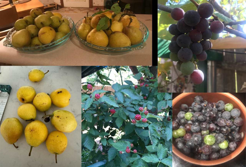 4 Bedrooms Bedrooms, 0 ,3 BathroomsBathrooms,Residential,Single Family,Tifton,1,133547