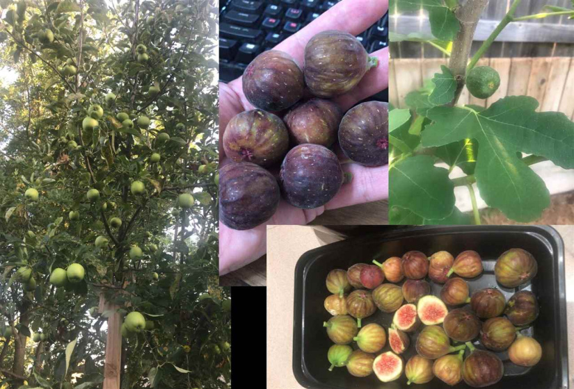 4 Bedrooms Bedrooms, 0 ,3 BathroomsBathrooms,Residential,Single Family,Tifton,1,133547