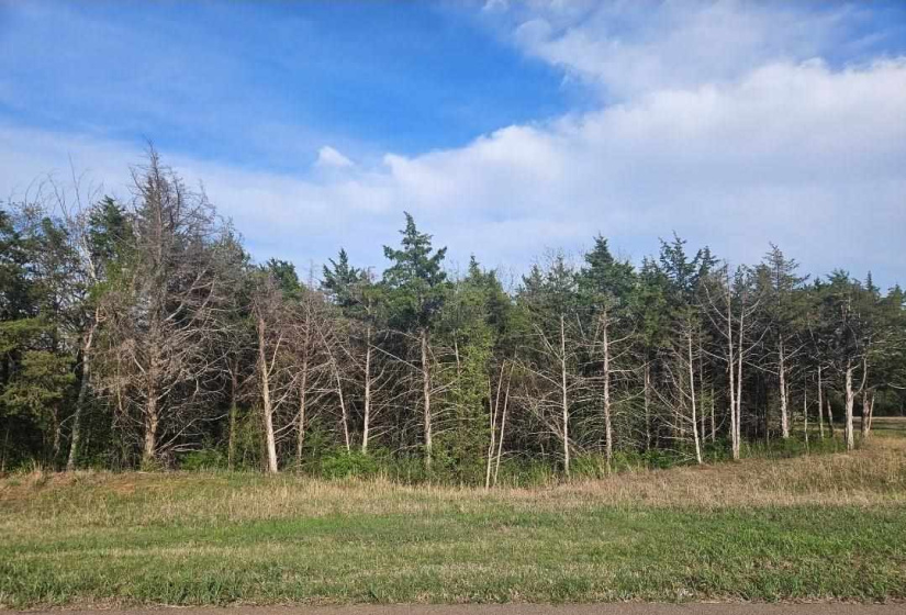 0 ,Lots/land,Platted,Cross Creek,0,133601