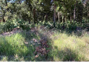 0 , 0 ,0,Lots/land,Platted,Woodland Trails,0,133624