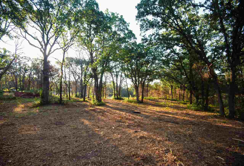 0 , 0 ,0,Lots/land,Platted,Coventry,0,133692