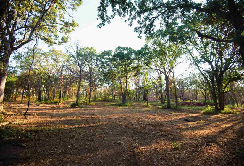 0 , 0 ,0,Lots/land,Platted,Coventry,0,133692