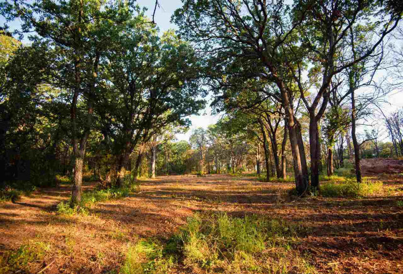 0 , 0 ,0,Lots/land,Platted,Coventry,0,133692