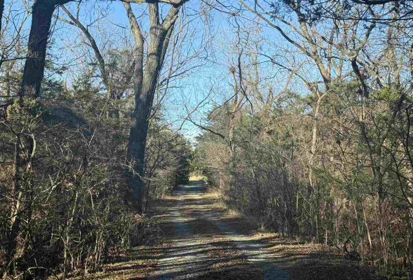 0 , 0 ,0,Lots/land,Unplatted,19th,0,133733