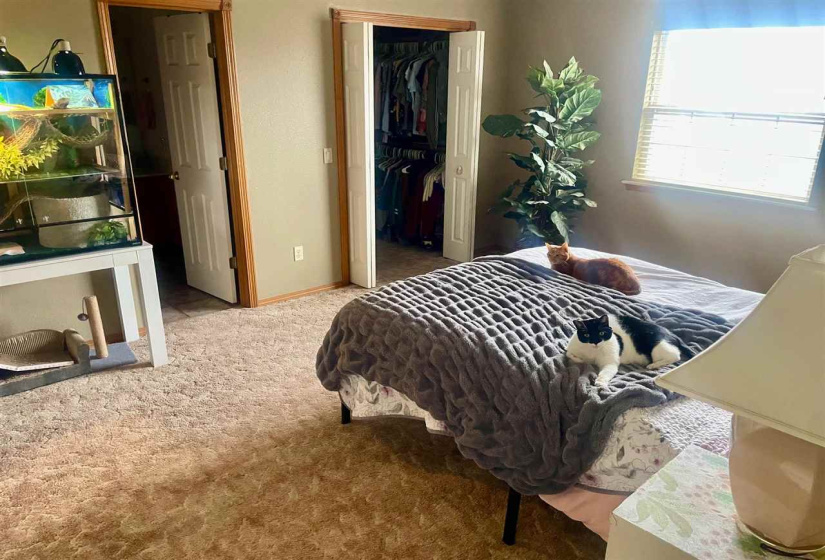 3 Bedrooms Bedrooms, 0 ,2 BathroomsBathrooms,Residential,Single Family,Wedgewood,1.5,133737