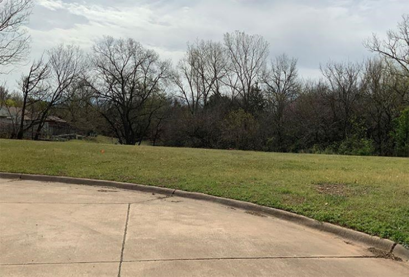 0 , 0 ,0,Lots/land,Platted,Greenvale,0,133806