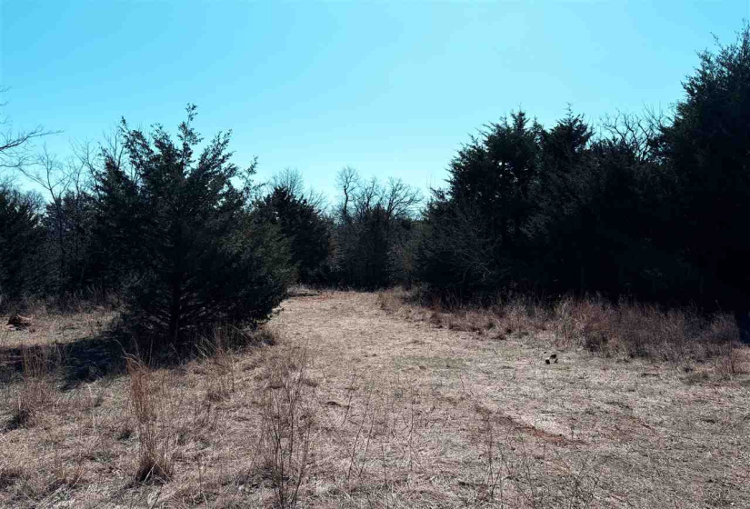 0 ,Lots/land,Ranch/farm,3370,0,133921