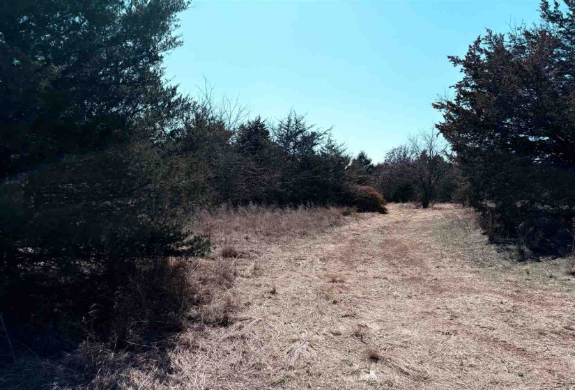 0 ,Lots/land,Ranch/farm,3370,0,133921