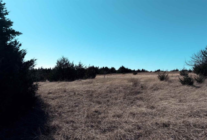 0 ,Lots/land,Ranch/farm,3370,0,133921