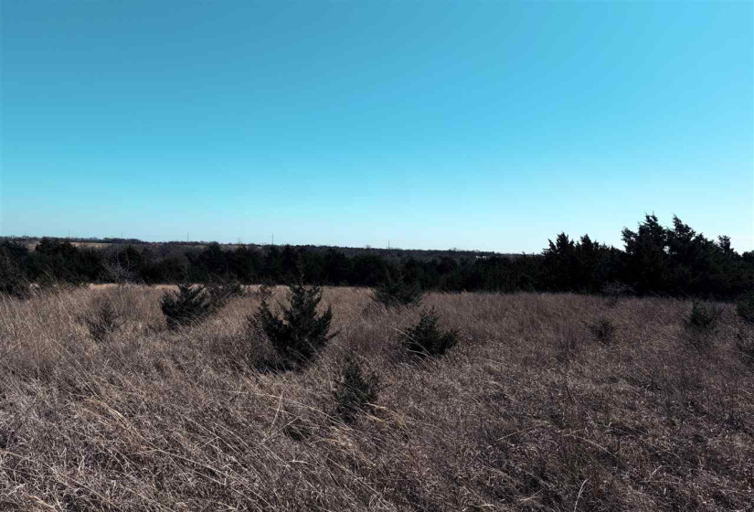 0 ,Lots/land,Ranch/farm,3370,0,133921