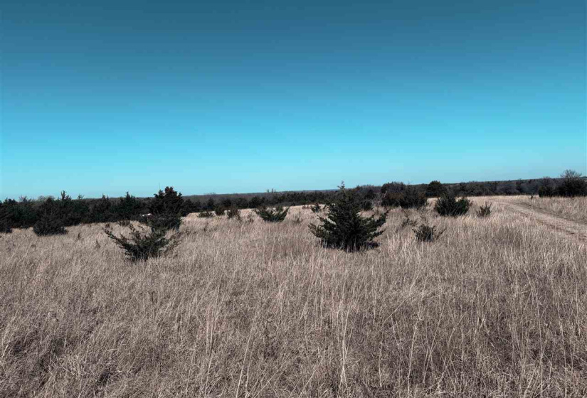 0 ,Lots/land,Ranch/farm,3370,0,133921