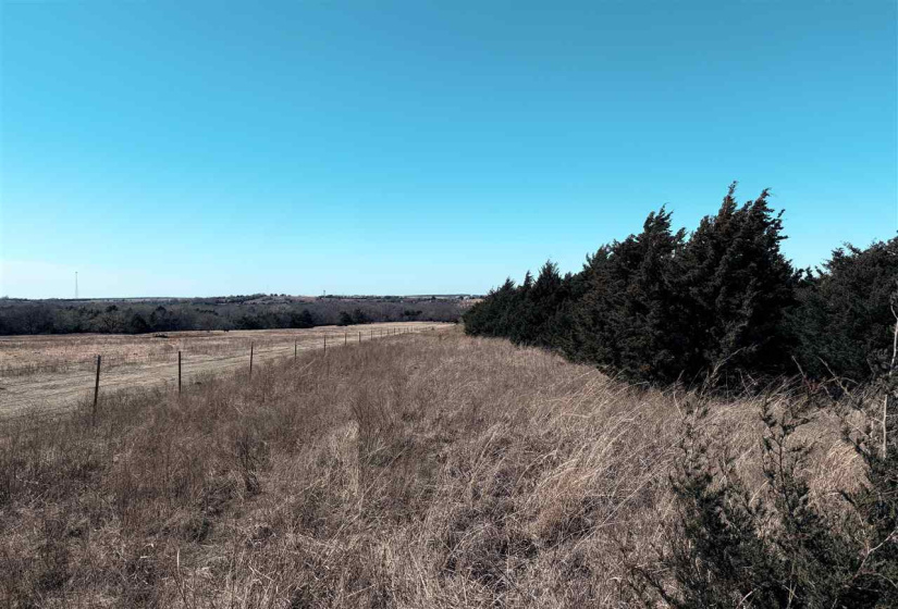 0 ,Lots/land,Ranch/farm,3370,0,133921